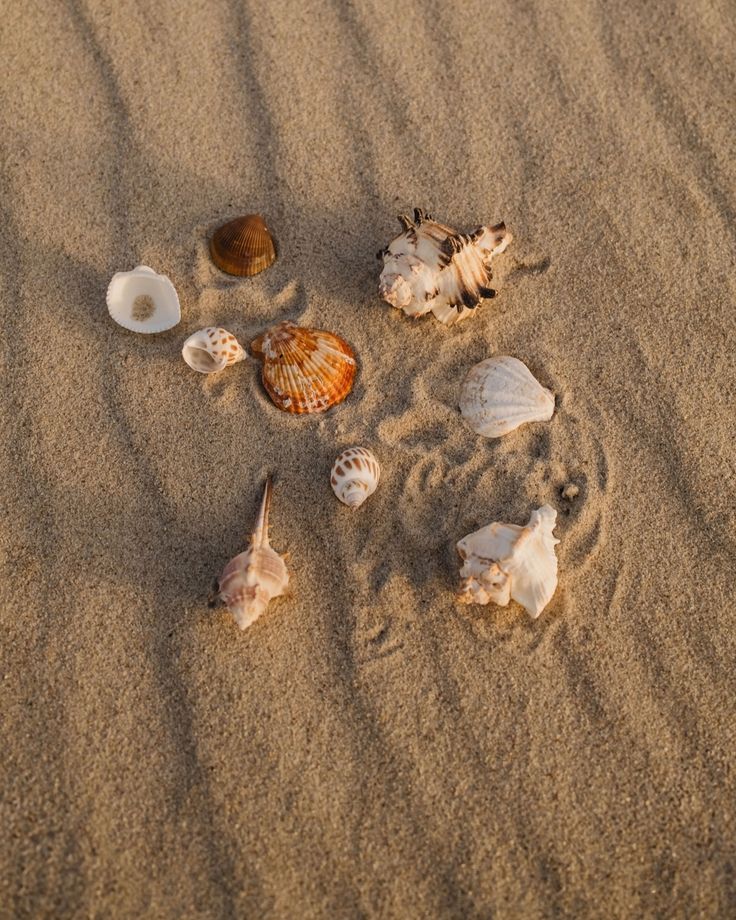 8 Reasons to Start Your Day with Sunlight