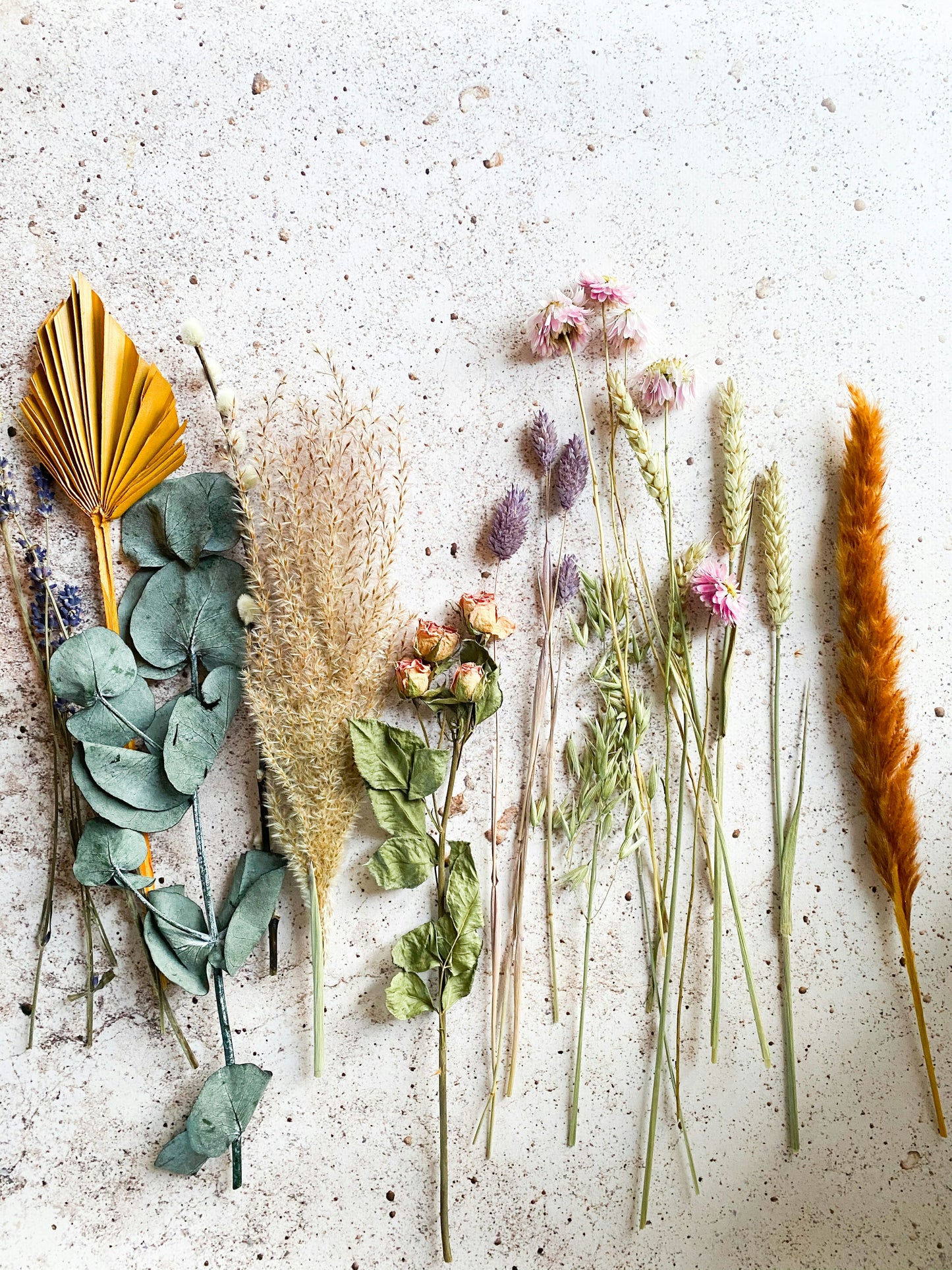 The Best Herbs for Your Skin: Nature's Elixirs